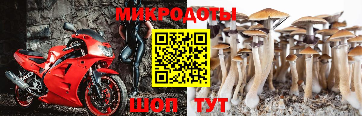 Псилоцибиновые грибы Psilocybine cubensis  Псилоцибиновые грибы MAGIC MUSHROOMS  Сарапул  Вход с VPN 